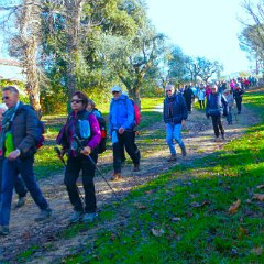 P1170160   Verso il lago.